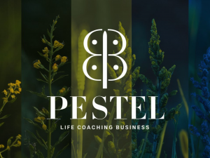 Read more about the article Your Essential Guide To Using The PESTEL Tool For Strategic Analysis